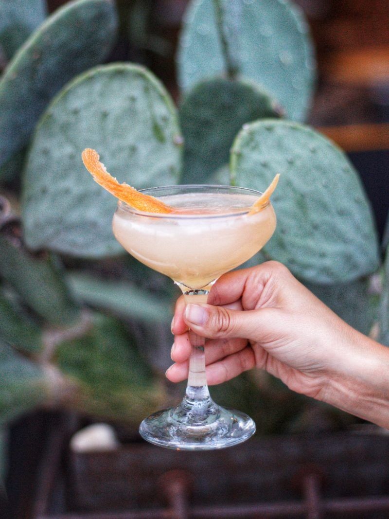 Mezcal Week.jpg